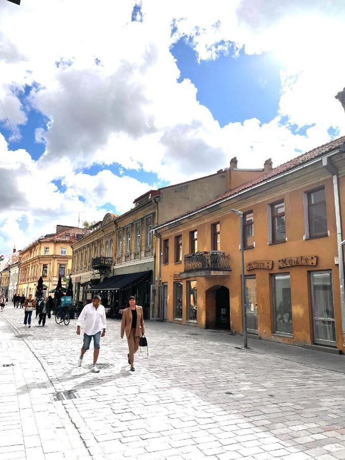 Stylish Apartment In The Heart Of Kaunas Old Town Экстерьер фото
